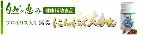自然の恵み 無臭にんにく大地